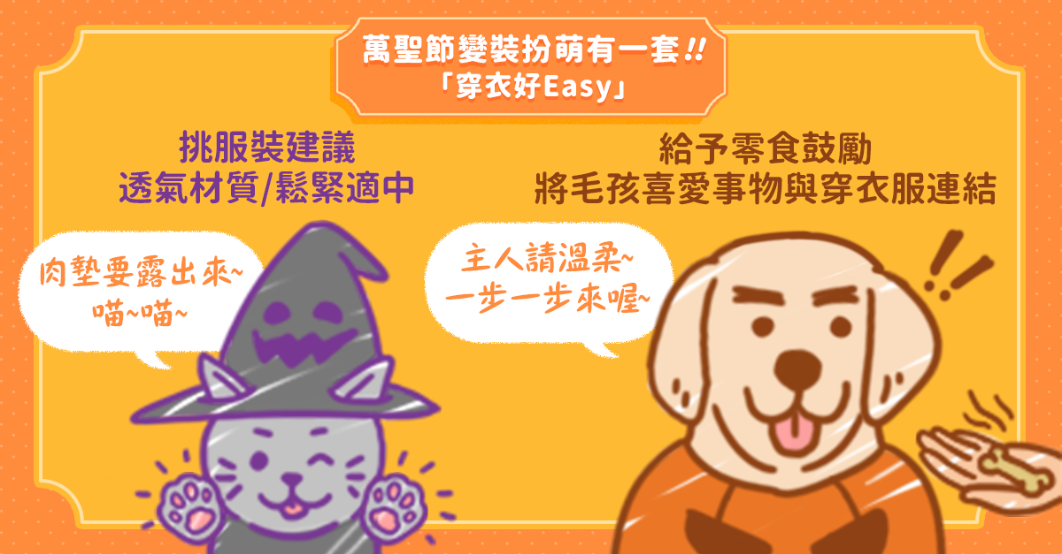 萬聖節造型免煩惱，飼主必學「寵物穿衣...