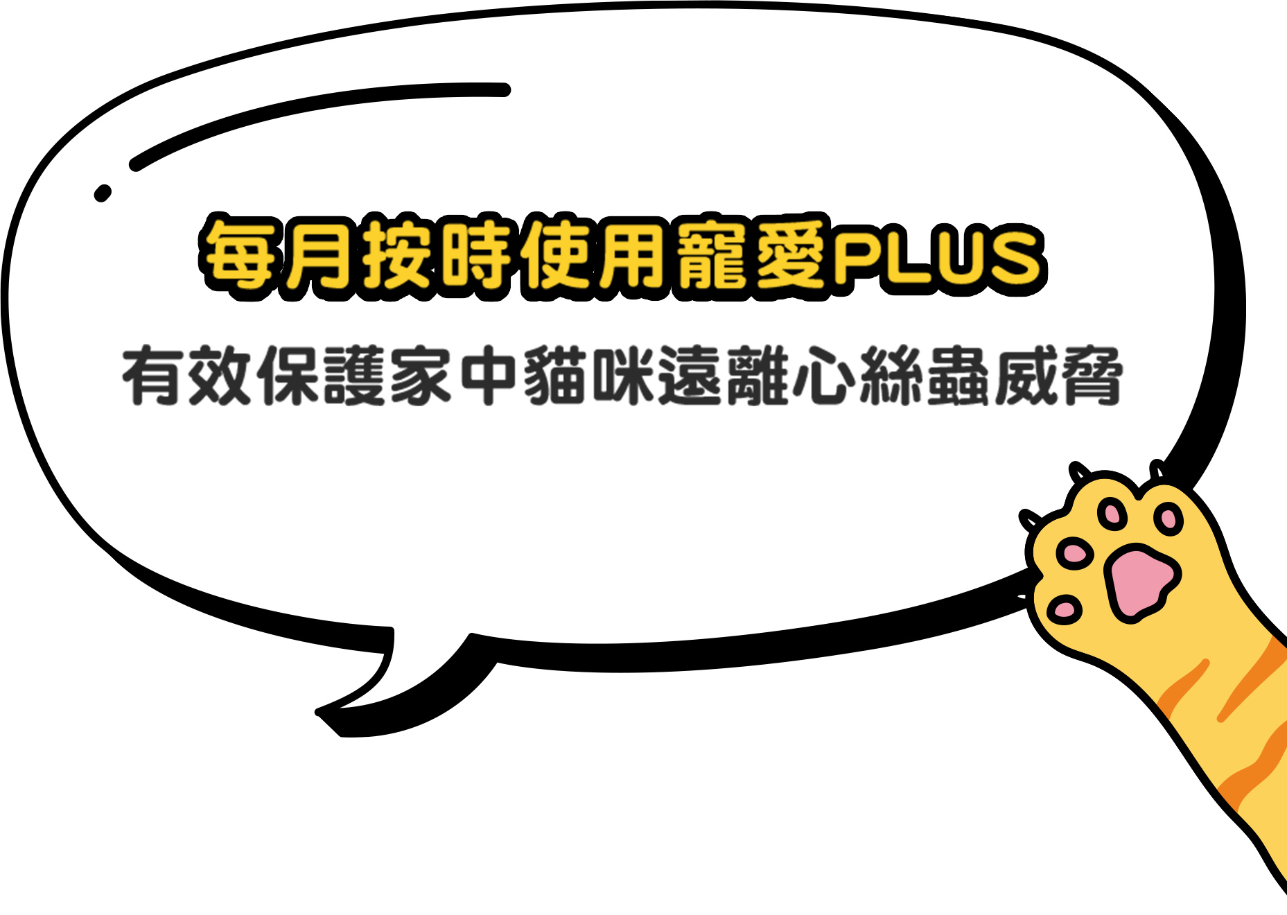 每月按時使用寵愛PLUS 有效保護家中貓咪遠離心絲蟲威脅