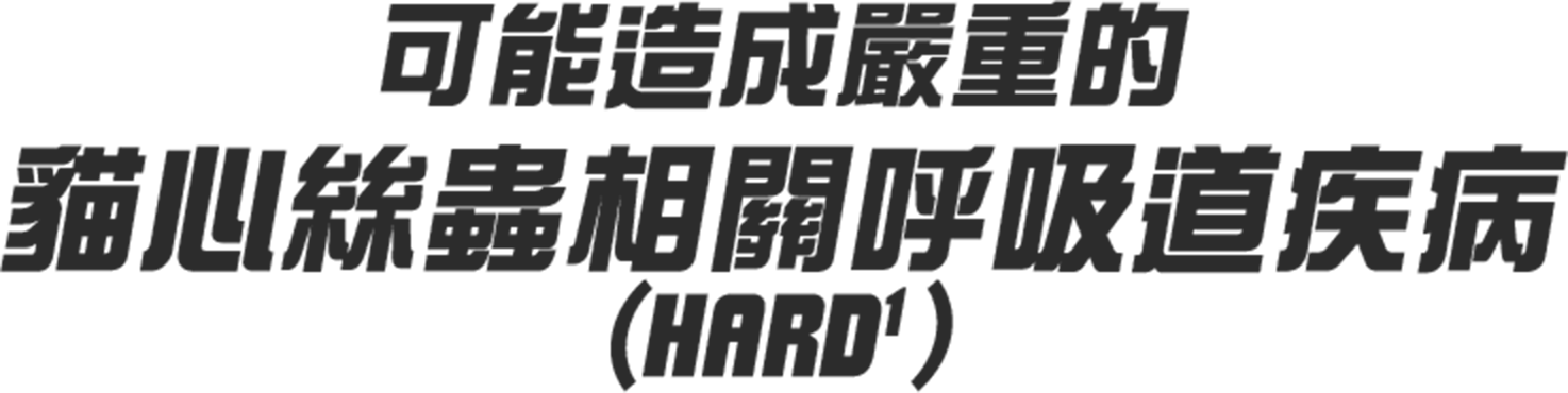 可能造成嚴重的貓心絲蟲相關呼吸道疾病(HARD1)