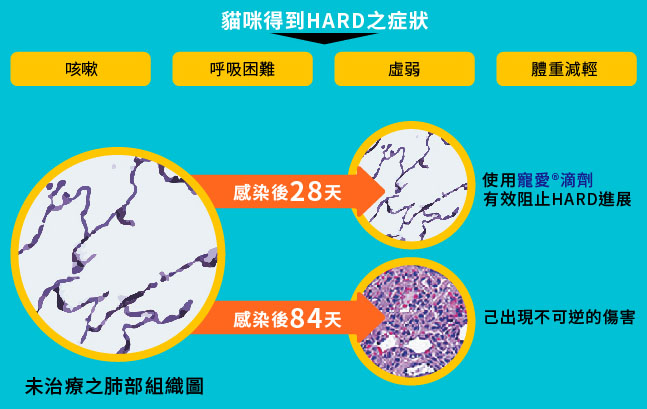 寵愛滴劑,不含農藥殺蟲劑成分,貓心絲蟲