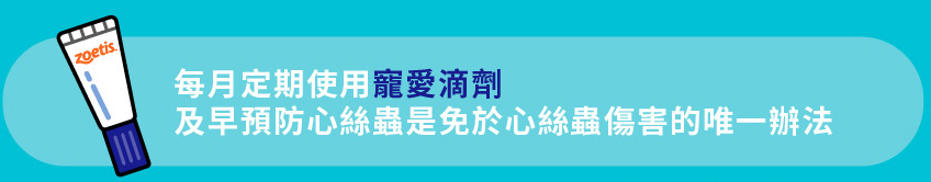 寵愛滴劑,不含農藥殺蟲劑成分,貓心絲蟲