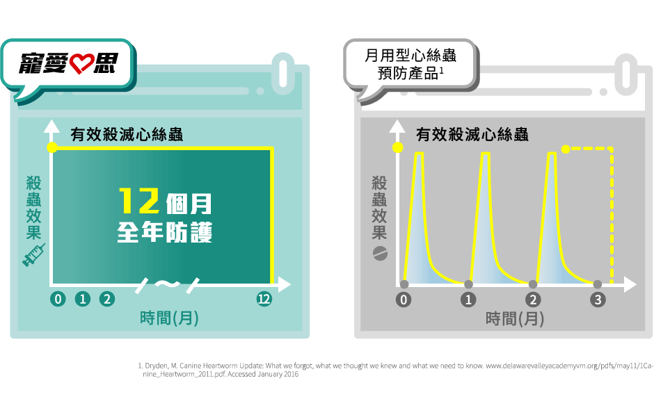 12個月的心絲蟲防護